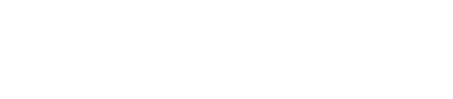 'NORC at the University of Chicago' logo